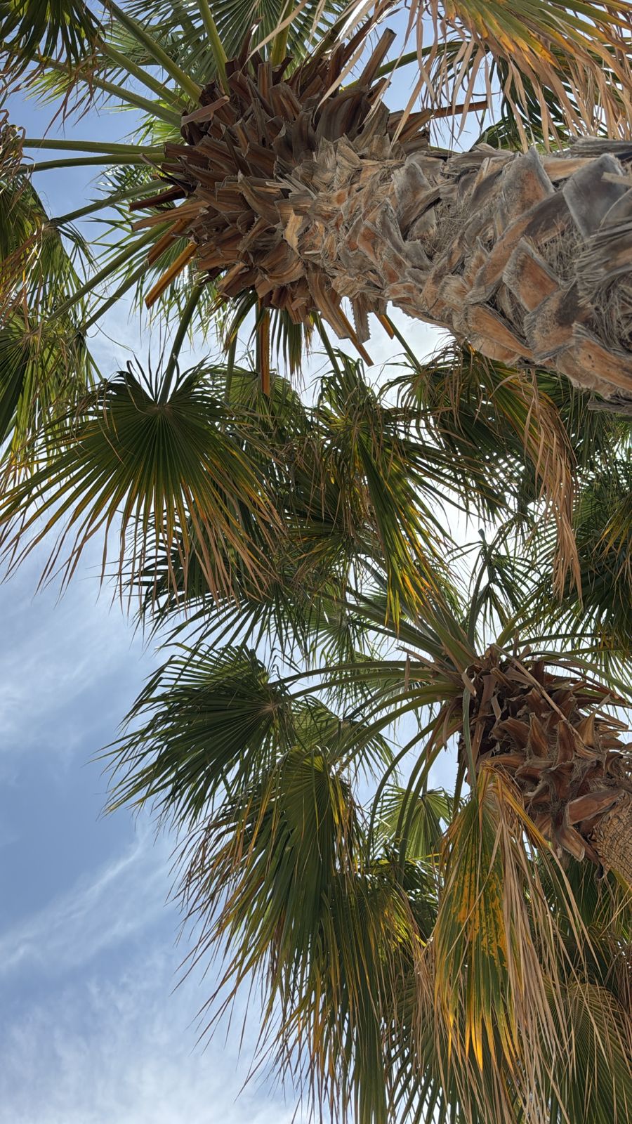 A Week of War Across the Water — Life in Dubai Goes On